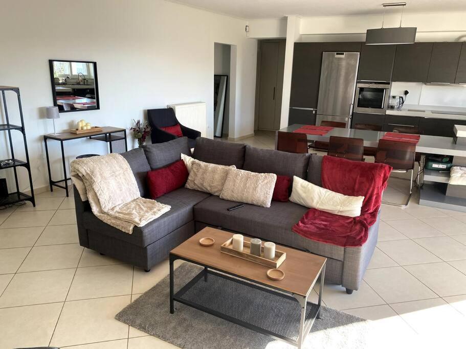 Spacious And Sunkissed 3Br & 2 Bathrooms Apartment Athens Luaran gambar